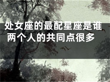 处女座的最配星座是谁 两个人的共同点很多 