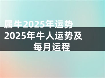 属牛2025年运势 2025年牛人运势及每月运程