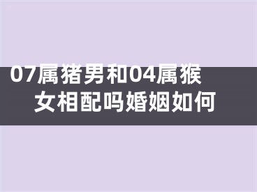 07属猪男和04属猴女相配吗婚姻如何