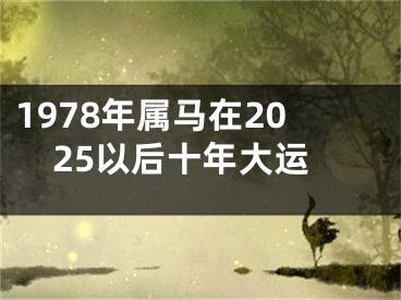 1978年属马在2025以后十年大运