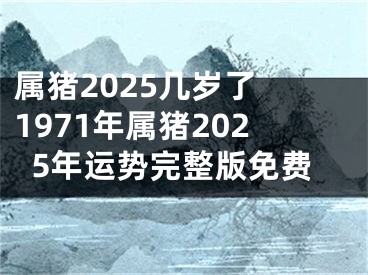 属猪2025几岁了 1971年属猪2025年运势完整版免费