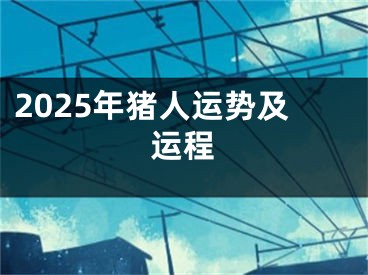 2025年猪人运势及运程