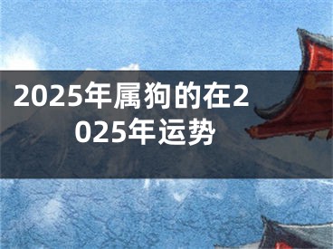 2025年属狗的在2025年运势