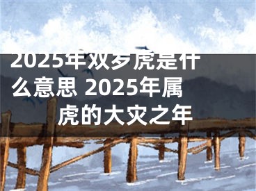 2025年双岁虎是什么意思 2025年属虎的大灾之年