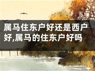 属马住东户好还是西户好,属马的住东户好吗
