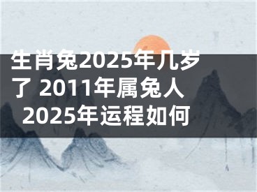 生肖兔2025年几岁了 2011年属兔人2025年运程如何