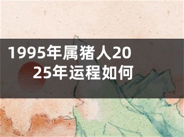 1995年属猪人2025年运程如何