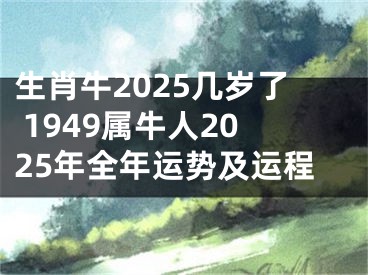 生肖牛2025几岁了 1949属牛人2025年全年运势及运程