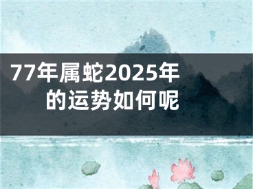 77年属蛇2025年的运势如何呢 