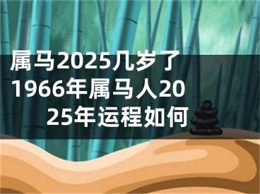 属马2025几岁了 1966年属马人2025年运程如何