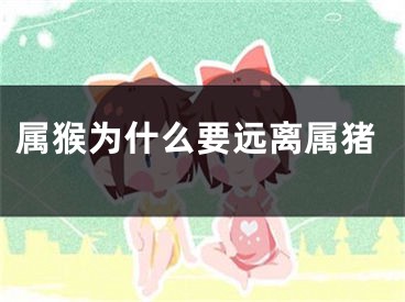 属猴为什么要远离属猪