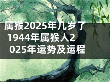 属猴2025年几岁了 1944年属猴人2025年运势及运程