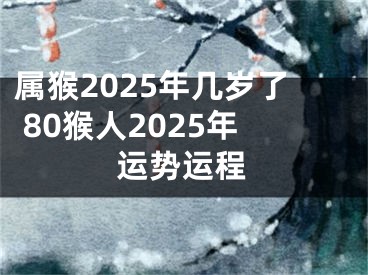 属猴2025年几岁了 80猴人2025年运势运程