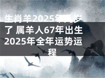 生肖羊2025年几岁了 属羊人67年出生2025年全年运势运程