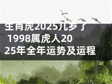 生肖虎2025几岁了 1998属虎人2025年全年运势及运程