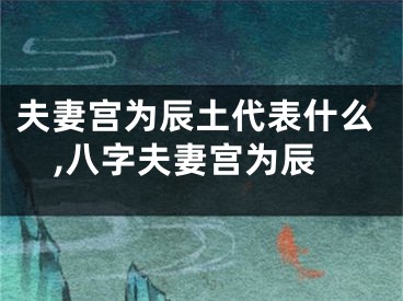 夫妻宫为辰土代表什么,八字夫妻宫为辰