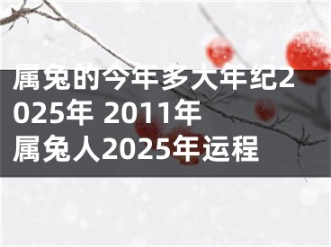 属兔的今年多大年纪2025年 2011年属兔人2025年运程
