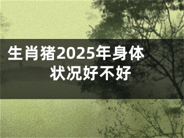 生肖猪2025年身体状况好不好