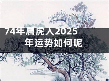 74年属虎人2025年运势如何呢