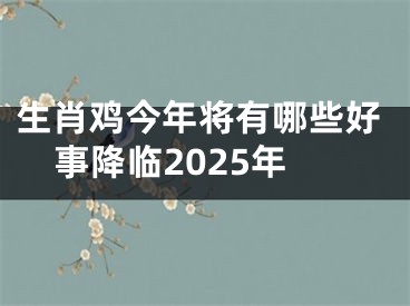 生肖鸡今年将有哪些好事降临2025年