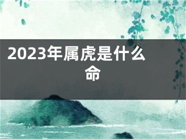 2023年属虎是什么命