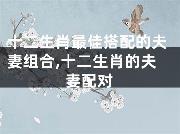十二生肖最佳搭配的夫妻组合,十二生肖的夫妻配对