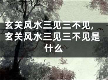 玄关风水三见三不见,玄关风水三见三不见是什么