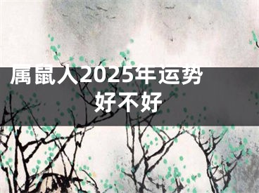 属鼠人2025年运势好不好