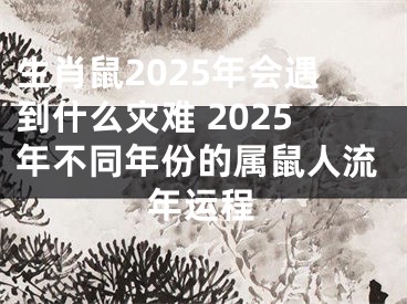 生肖鼠2025年会遇到什么灾难 2025年不同年份的属鼠人流年运程