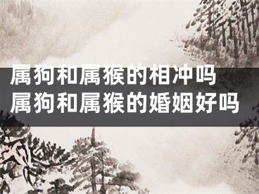 属狗和属猴的相冲吗 属狗和属猴的婚姻好吗