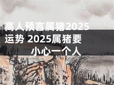 高人预言属猪2025运势 2025属猪要小心一个人