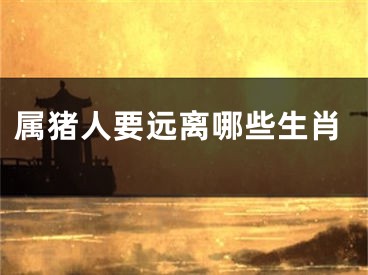 属猪人要远离哪些生肖