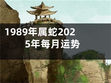 1989年属蛇2025年每月运势