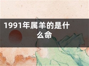1991年属羊的是什么命