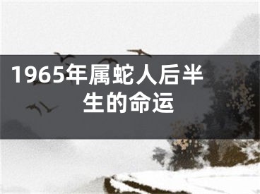 1965年属蛇人后半生的命运