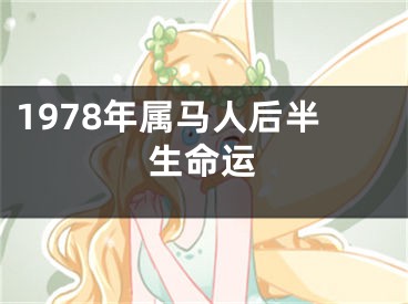 1978年属马人后半生命运