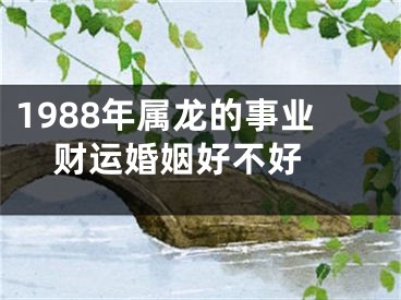 1988年属龙的事业财运婚姻好不好 
