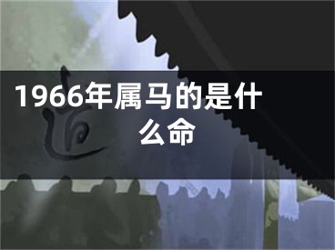 1966年属马的是什么命