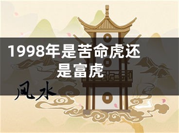 1998年是苦命虎还是富虎 