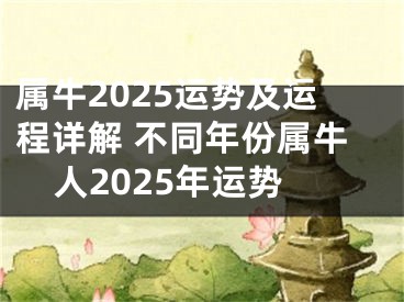 属牛2025运势及运程详解 不同年份属牛人2025年运势