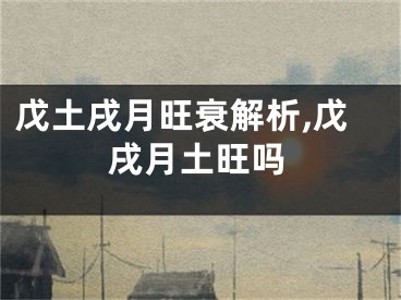 戊土戌月旺衰解析,戊戌月土旺吗