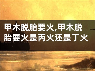 甲木脱胎要火,甲木脱胎要火是丙火还是丁火