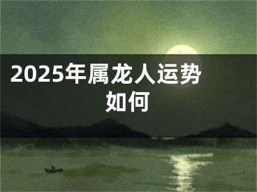 2025年属龙人运势如何