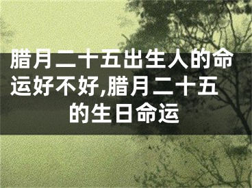 腊月二十五出生人的命运好不好,腊月二十五的生日命运