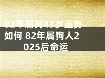 82年属狗43岁运势如何 82年属狗人2025后命运