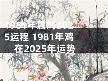1981年属鸡2025运程 1981年鸡在2025年运势