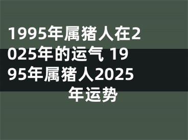 1995年属猪人在2025年的运气 1995年属猪人2025年运势