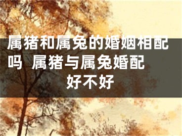 属猪和属兔的婚姻相配吗  属猪与属兔婚配好不好