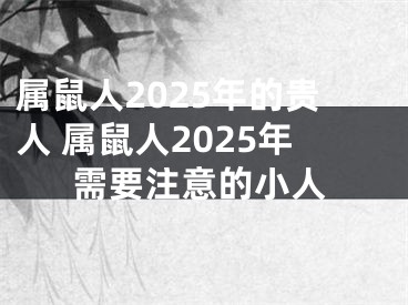 属鼠人2025年的贵人 属鼠人2025年需要注意的小人