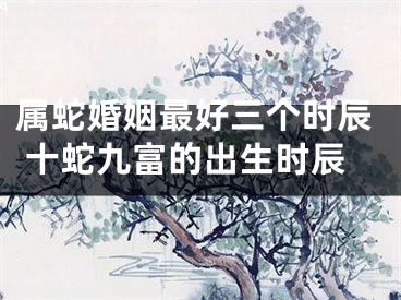 属蛇婚姻最好三个时辰 十蛇九富的出生时辰